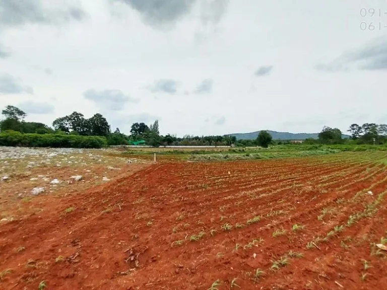 ขายที่ดินเขาใหญ่ ตหมูสี 6ไร่ ทำเลดี ติดถนนลาดยาง วิวเขาสวย