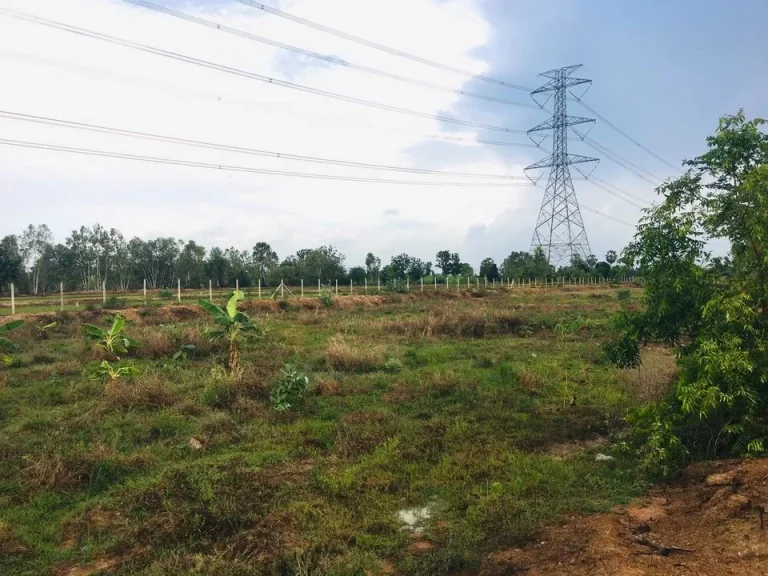 ที่ดินสวนสวย วิวทุ่งนาภูเขา อุดมสมบูรณ์ 5ไร่ 2งาน 39ตรว