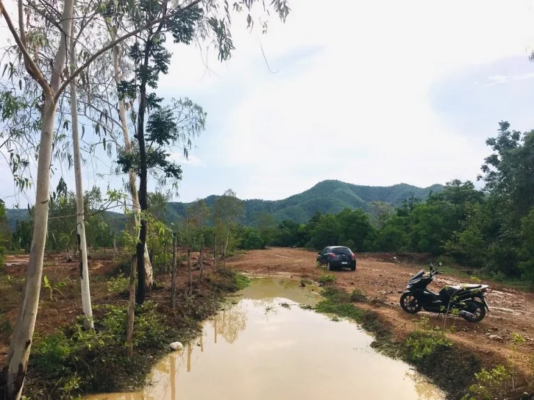 ที่ดินสวนสวย วิวทุ่งนาภูเขา อุดมสมบูรณ์ 5ไร่ 2งาน 39ตรว