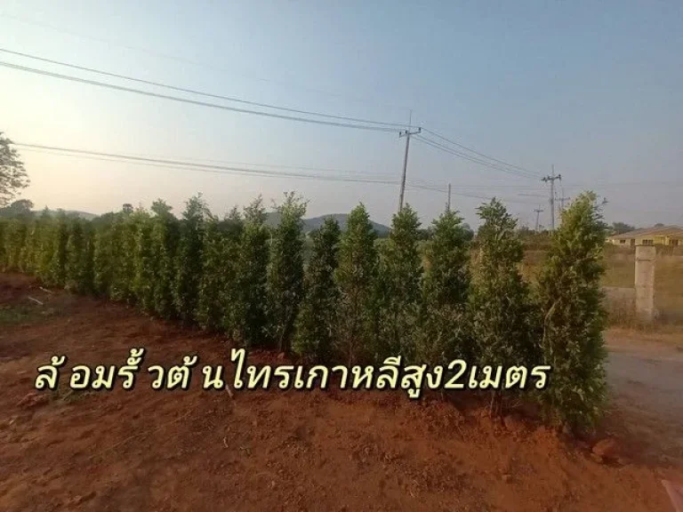 ขายที่ดินทำเลดี เจ้าของขายเอง เหมาะสำหรับพักผ่อนและอยู่อาศัย