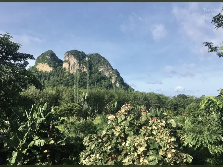 ขายที่ดินทำเลทอง 3 ไร่ 18 ตรว แหล่งท่องเที่ยว วิวสวย