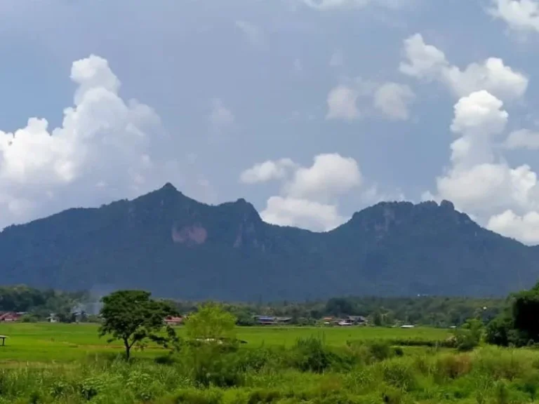 ขายด่วน ที่ดินราคาถูกใกล้แหล่งท่องเที่ยวของจังหวัดลำปาง