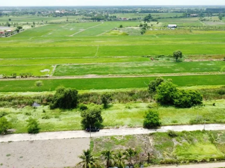 ขายที่ดินบางลูกเสือ 100 ตรว คลอง 23 ติดถนนคอนกรีต