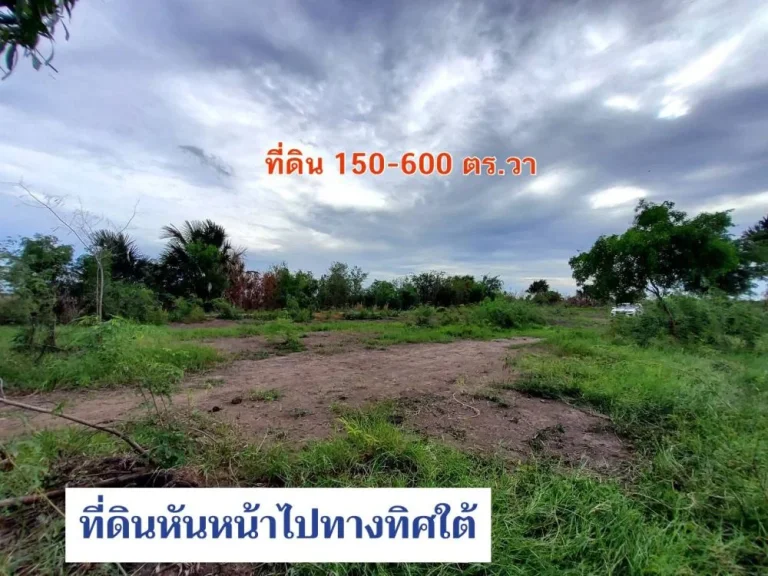 ขายที่ดินสร้างบ้านสวน 150 ถึง 600 ตารางวา ใกล้ ปตทบัวปากท่า