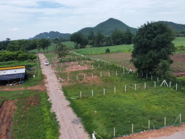 ขายที่ดินทุ่งไล่ไก่ เริ่มต้น 100 ตรว วิวภูเขาล้อมรอบ