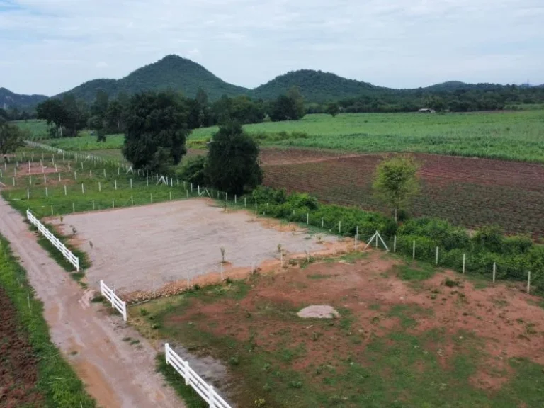 ขายที่ดินทุ่งไล่ไก่ เริ่มต้น 100 ตรว วิวภูเขาล้อมรอบ