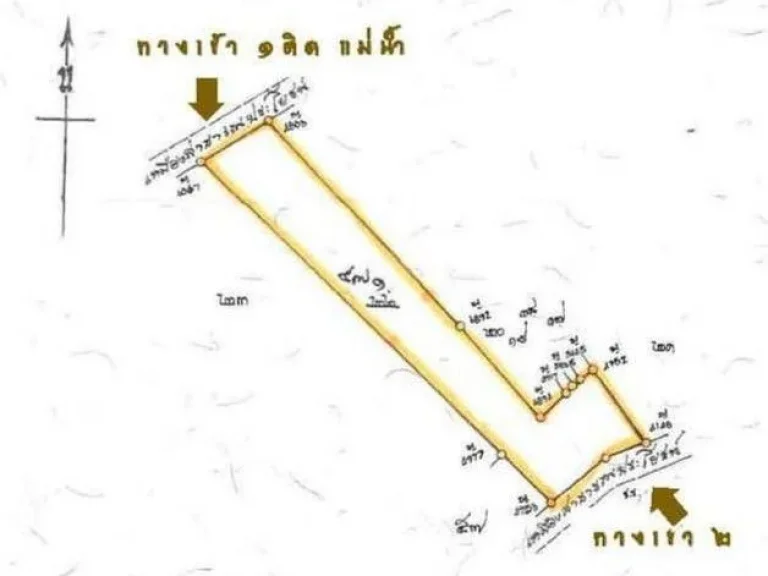 ขายที่ดิน 15ไร่1งาน90ว 8ล้านบาท ถนนคอนกรีตหน้าหลัง