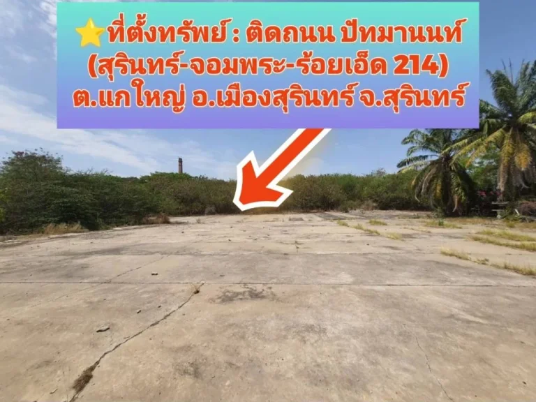 ขายที่ดินเมืองสุรินทร์ 31ไร่ครึ่ง ทำเลทองธุรกิจ ติดถนน 4