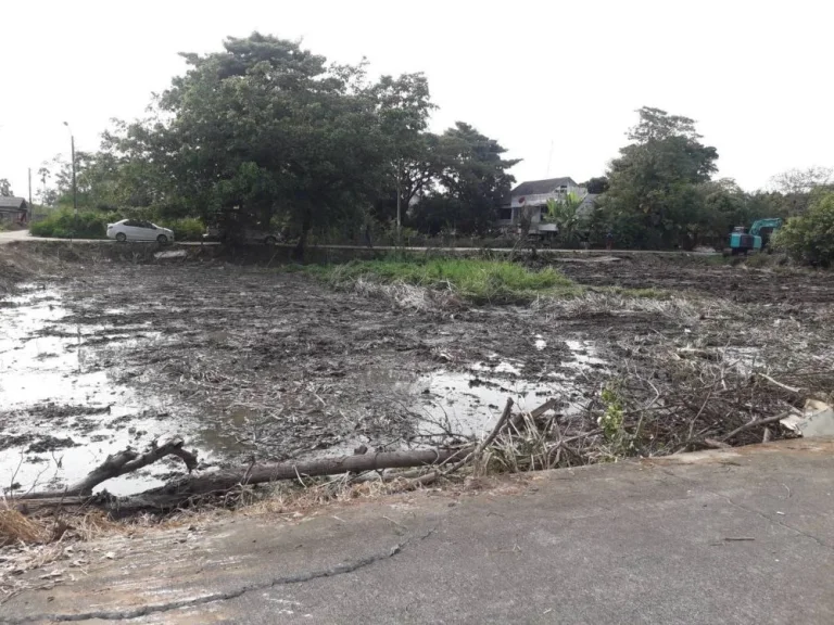 ที่ดินแบ่งขาย เริ่มต้น 44ตรวา ขึ้นไป ในซอยวัดพระเงิน นนทบุรี