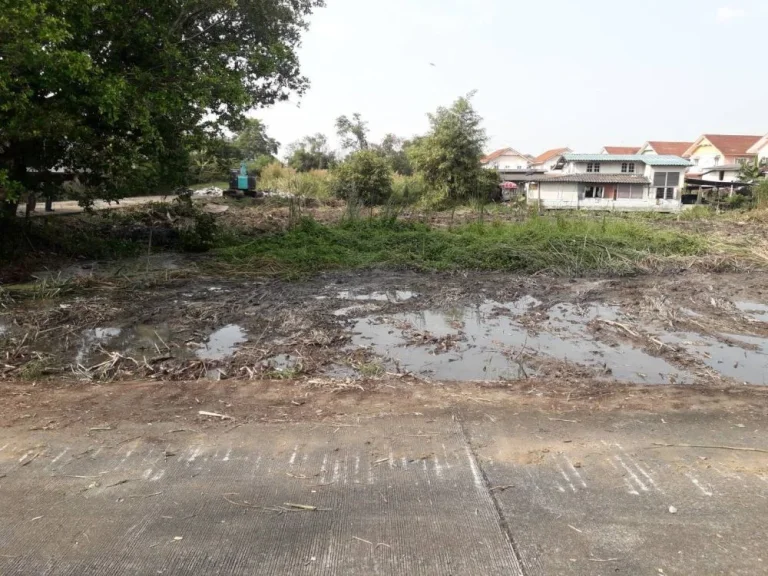 ที่ดินแบ่งขาย เริ่มต้น 44ตรวา ขึ้นไป ในซอยวัดพระเงิน นนทบุรี