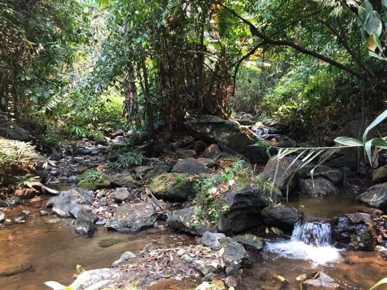 ขายที่ดินบ้านเมืองก๋ายแม่แตงเอกสาร สค 1 ติดลำธารน้ำไหลผ่านพร