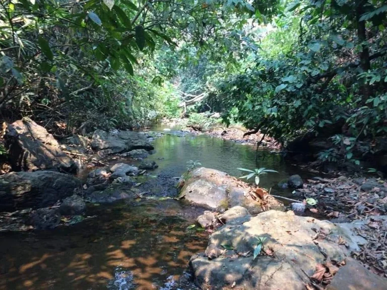 ขายที่ดินบ้านเมืองก๋ายแม่แตงเอกสาร สค 1 ติดลำธารน้ำไหลผ่านพร