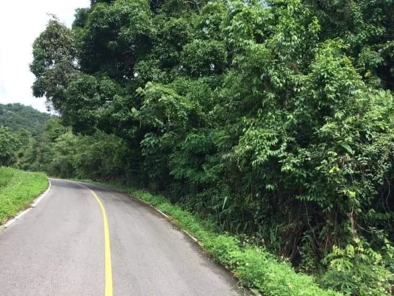 ขายที่ดินบ้านเมืองก๋ายแม่แตงเอกสาร สค 1 ติดลำธารน้ำไหลผ่านพร