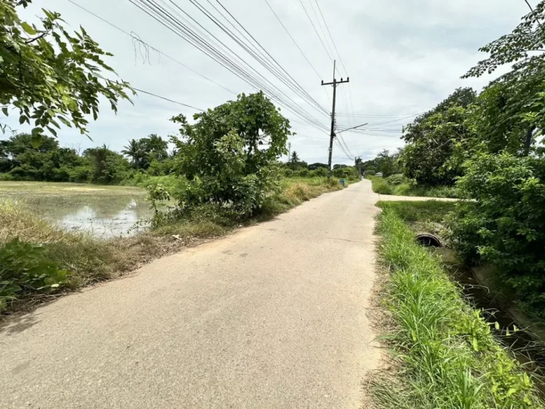 ขายที่ดิน ตำบลศิลา ถเลี่ยงเมืองขอนแก่น ใกล้โรงเรียนบ้านศิลา