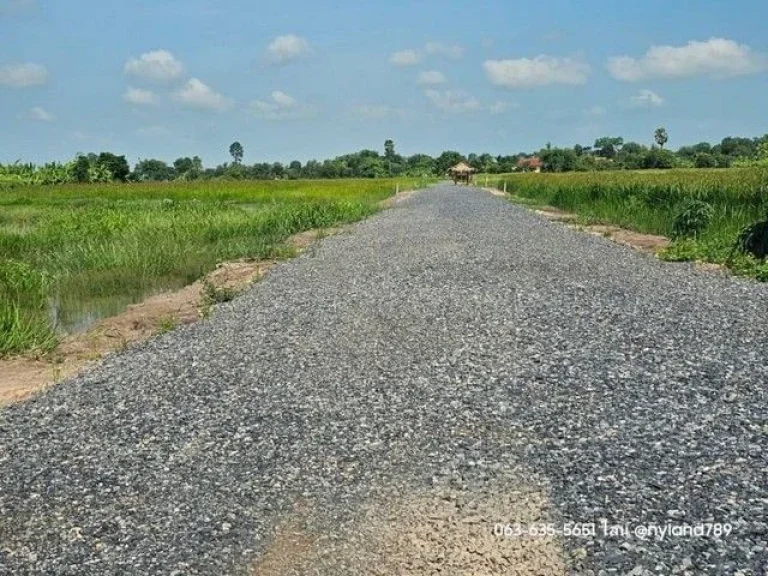 ขายที่ดินสวยวิวเขา ติดถนน 2 ด้าน เหมาะทำบ้านสวนวัยเกษียน