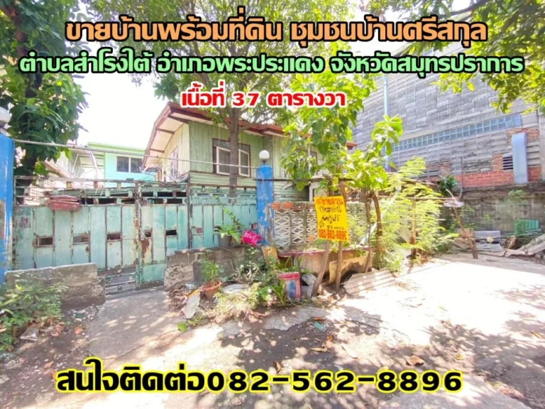 ขายบ้านพร้อมที่ดิน ชุมชนบ้านศรีสกุล ตำบลสำโรงใต้