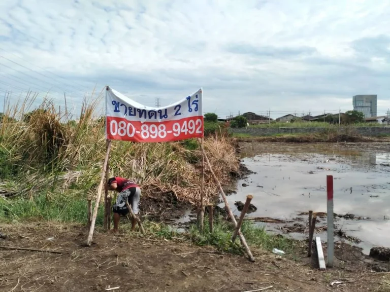 ขายที่ดิน 2ไร่ ติดทางสาธารณะ 2 ด้าน ใกล้ มกรุงเทพ รังสิต