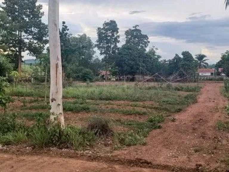 ขายที่ดินแหล่งธรรมชาติ ติดวันดีดีรีสอร์ท เจ้าของขายเอง