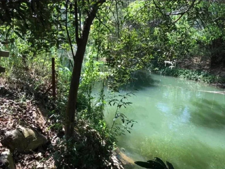 ขายที่เขาใหญ่ติดน้ำลำตะคอง 1 ไร่ ใกล้ถนนธนะรัชต์25 กม