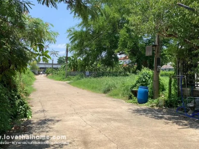 ขายที่ดิน ถบางกรวย-ไทรน้อย หมู่บ้านชลลดา บางบัวทอง พื้นที่