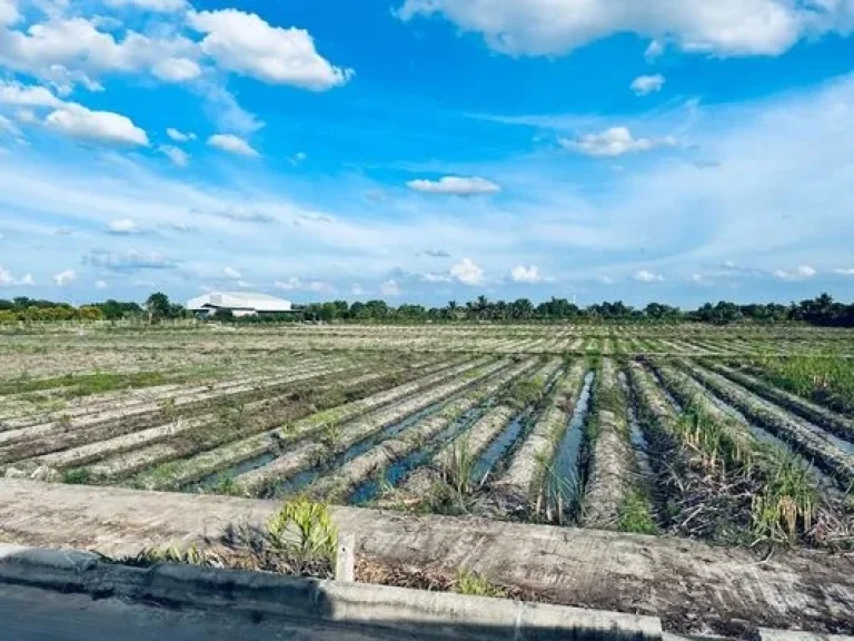 ขายที่ดิน 30 ไร่ ติดถนนบางกรวย-ไทรน้อย สี่แยกไทรน้อย คลองขวาง