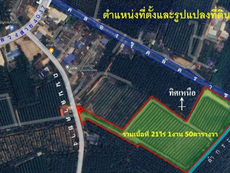 สวนมะพร้าวน้ำหอมดำเนินสะดวก โฉนด215ไร่ ติดน้ำ ติดถนน