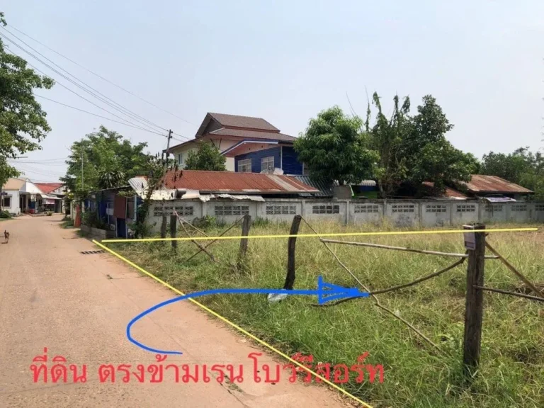 ที่ดิน 100 ตรว ตรงข้ามเรนโบว์รีสอร์ท ตนาดี อเมือง