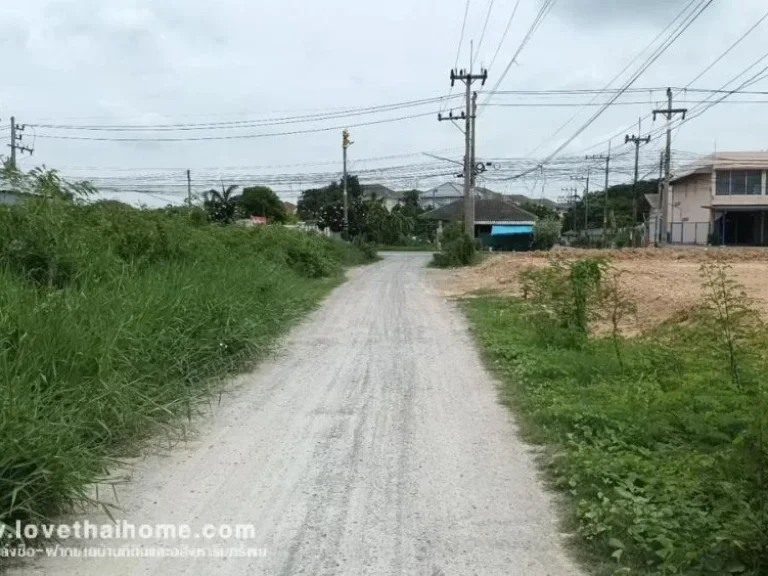 ขายโรงงาน ถนนพุทธมณฑลสาย5 ซอยวัดดอนหวาย พื้นที่ 249 ตรว