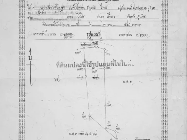 ขายด่วนที่ดิน 55 ไร่ อเมือง ตเกาะแก้ว ภูเก็ต แหล่งชุมชน