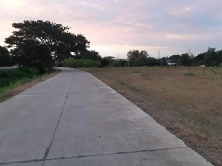 ขายที่ดินติดถนนมาลัยแมน อำเภอสองพี่น้อง จังหวัดสุพรรณบุรี