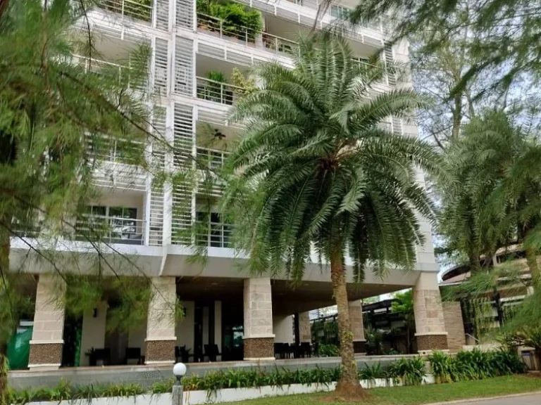 ขายให้เช่า คอนโด ไพน์ ชอร์ส Pine Shores Condo For SaleRent