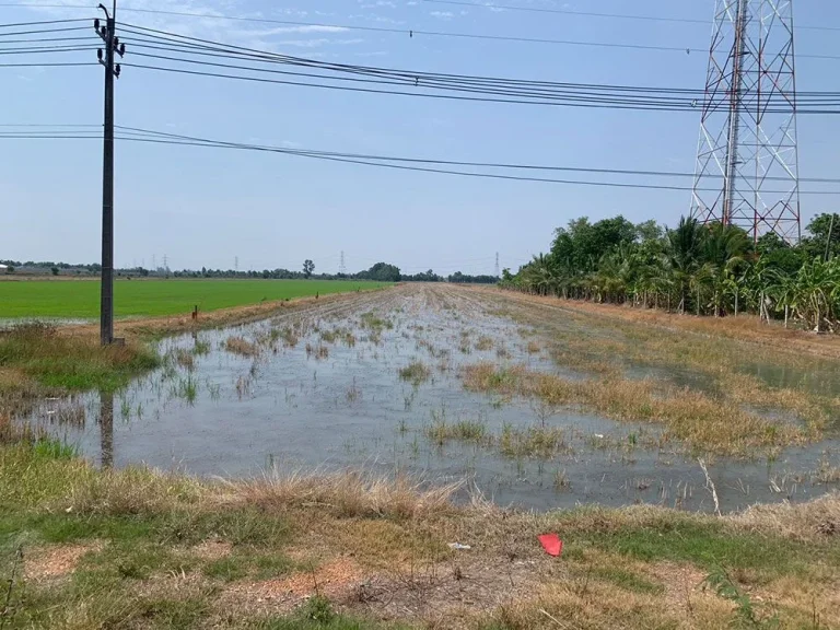 ขายที่ดินเปล่า ทำเลสวยๆ เหมาะที่จะเป็นโครงการที่อยู่อาศัย