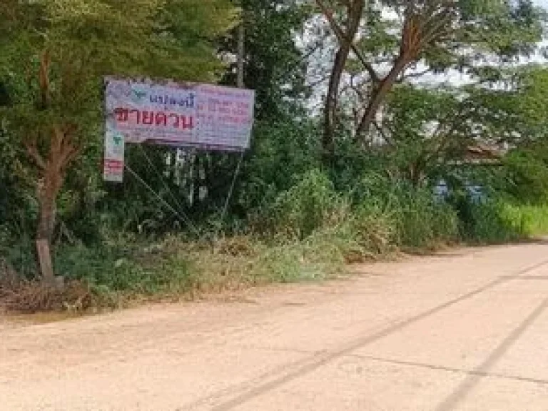 ขายที่ดิน 1 ไร่ ติดถนนคอนกรีตเส้นวัดพิกุลทอง ซอยร่วมสามัคคี