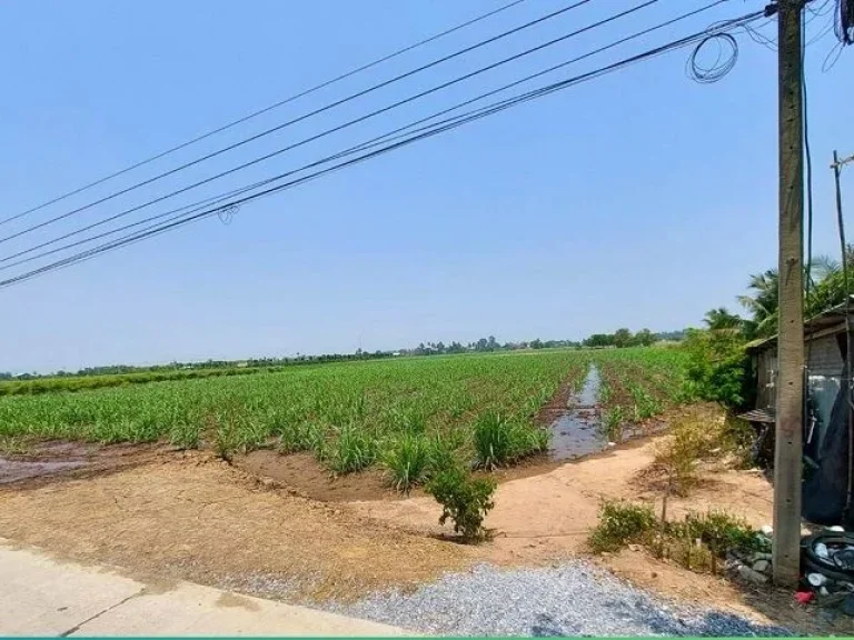 ที่ดินสวย ตดอนปรู อศรีประจันต์ จสุพรรณบุรี