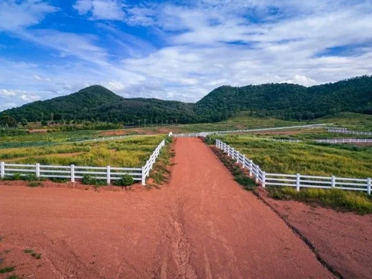 ที่ดินแบ่งขายวิวภูเขารายล้อม 360 องศา ตำบลกลัดหลวง