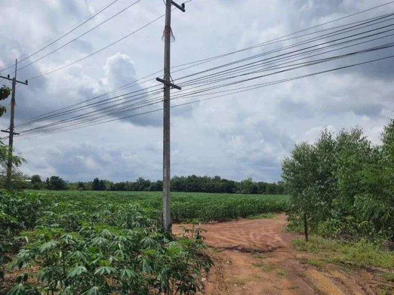 ขายที่ดินทำเลดี ที่ผืนใหญ่โฉนด 3 ใบ เจ้าของขายเอง