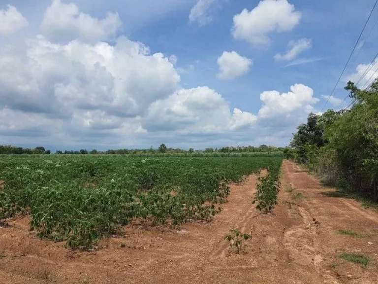 ขายที่ดินทำเลดี ที่ผืนใหญ่โฉนด 3 ใบ เจ้าของขายเอง