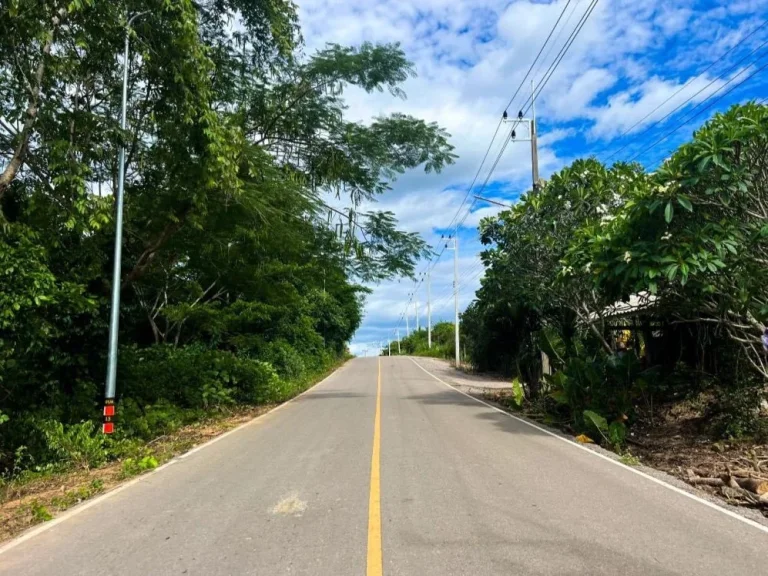 ที่ดินหลังติดภูเขา หน้าถนนลาดยาง เป็นชุมชน น้ำไฟฟ้าพร้อม