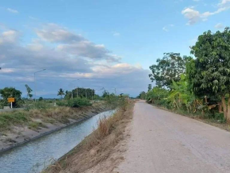 ที่ดินบ้านสวนดอนยอ ที่ดินแบ่งขาย เริ่มต้น 200 ตรว