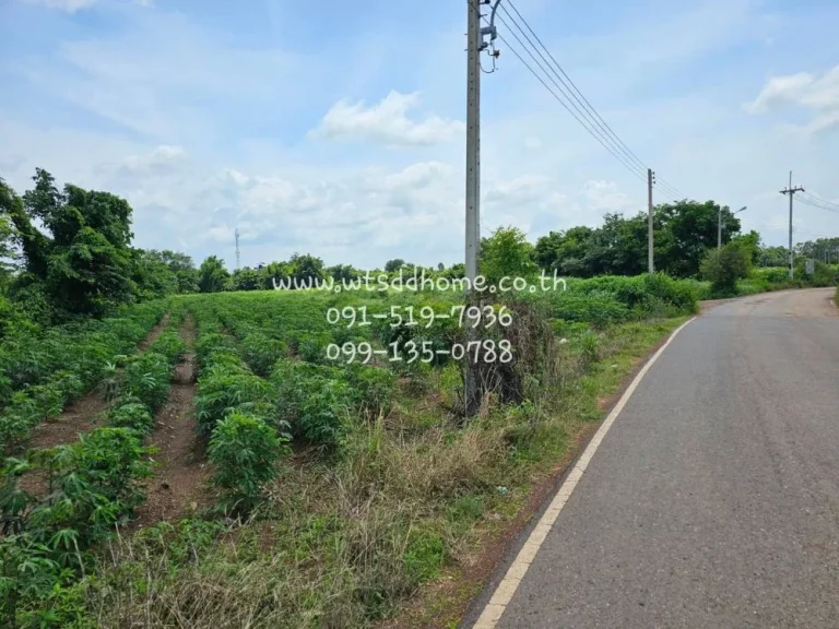 ขายที่ดินติดนิคมอุตสาหกรรม 304 ตท่าตูม อศรีมหาโพธิ