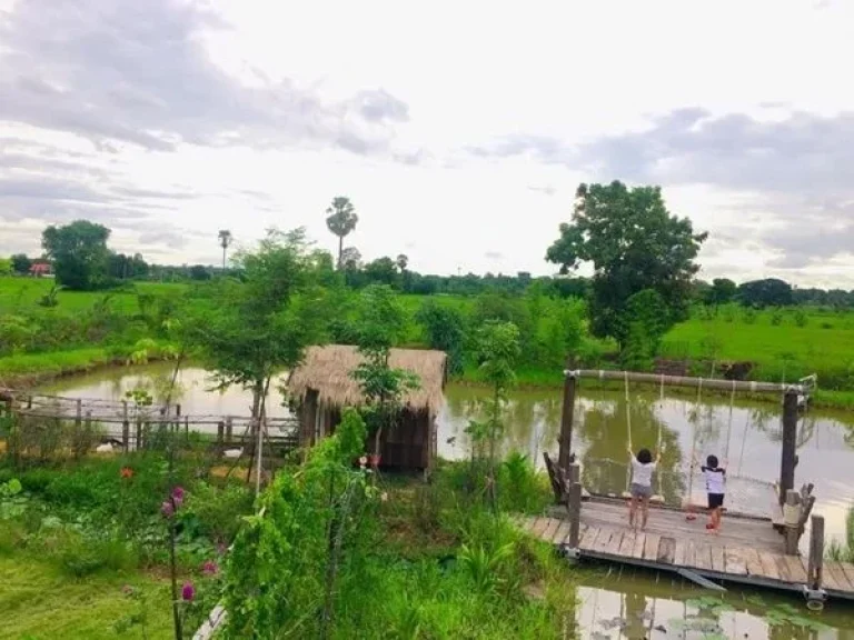 ขายบ้านโคราช บ้านสวนโคกหนองนา ใกล้เซเว่น เพียง 2