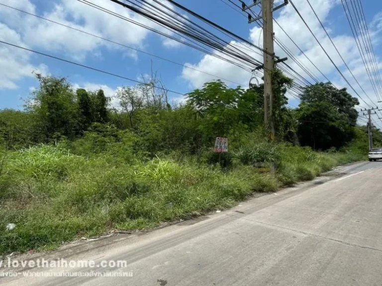 ขายที่ดิน ติดถนนพหลโยธิน หนองแค สระบุรี ขายถูกกว่าราคาประเมิน