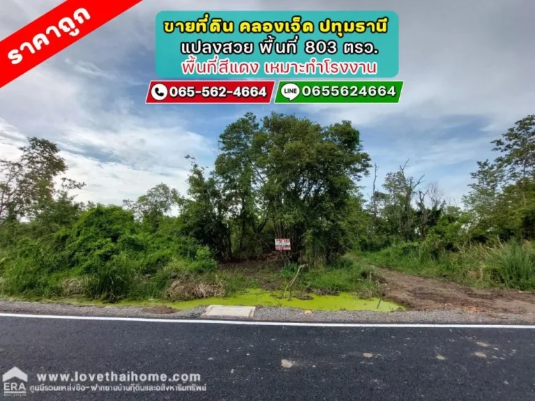 ขายที่ดิน คลองเจ็ด ปทุมธานี พื้นที่ 803 ตรว แปลงสวย ราคาถูก