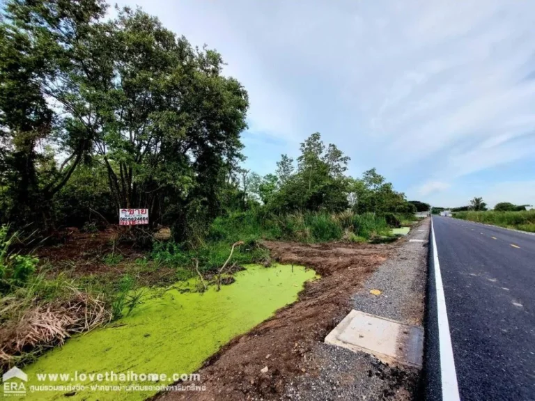 ขายที่ดิน คลองเจ็ด ปทุมธานี พื้นที่ 803 ตรว แปลงสวย ราคาถูก