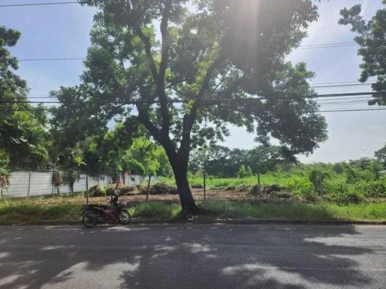 Land For Sale ขาย ที่ดิน 2 ไร่กว่า หมู่บ้านนวธานี