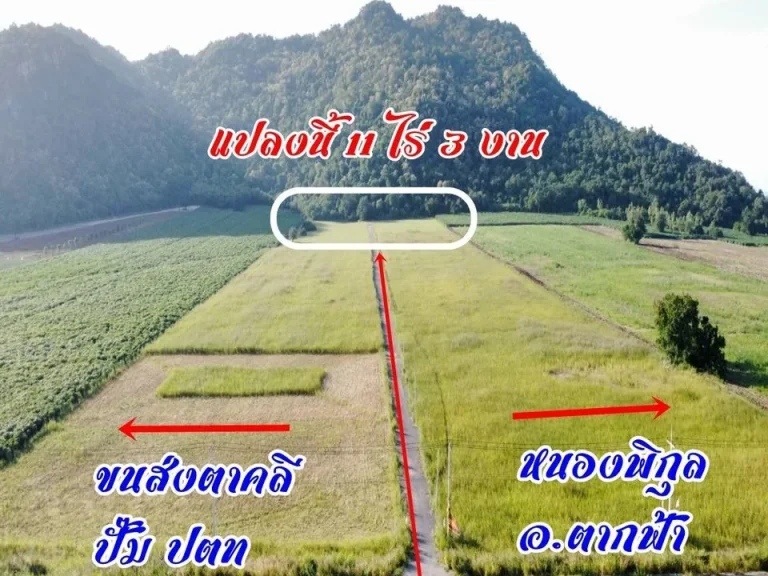 ขายที่ดินสวย ติดเขา วิวดี ไฟฟ้าหน้าแปลง ราคาพิเศษสุดๆ