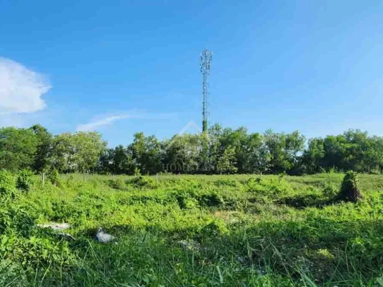 ที่ดินเปล่า ซอย สุพรรณโรจน์ หนองจอก - มีนบุรี