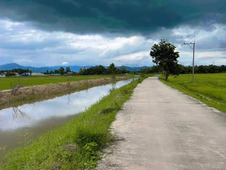 ขายที่ดินวิวเขา พรหมณี 100-150 ตรวถมแน่น เมือง นครนายก