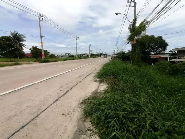 ขายที่ดิน ติดถนนบ้านกล้วย-ไทรน้อย ตำบลไทรน้อย อำเภอไทรน้อย