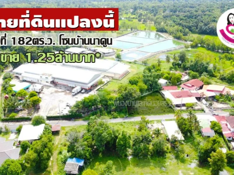 ขายที่ดินเปล่าสวยมาก ในชุมชนบ้านนาดูน ตขามใหญ่